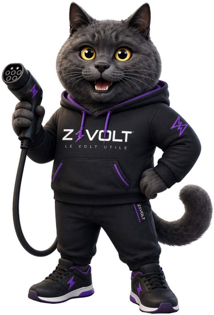 zevolt mascotte installateur borne irve france